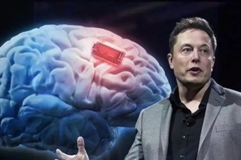 Илон маск грибы. Илон маск. Илон маск разжирел. Илон маск 2021. Elon musk.