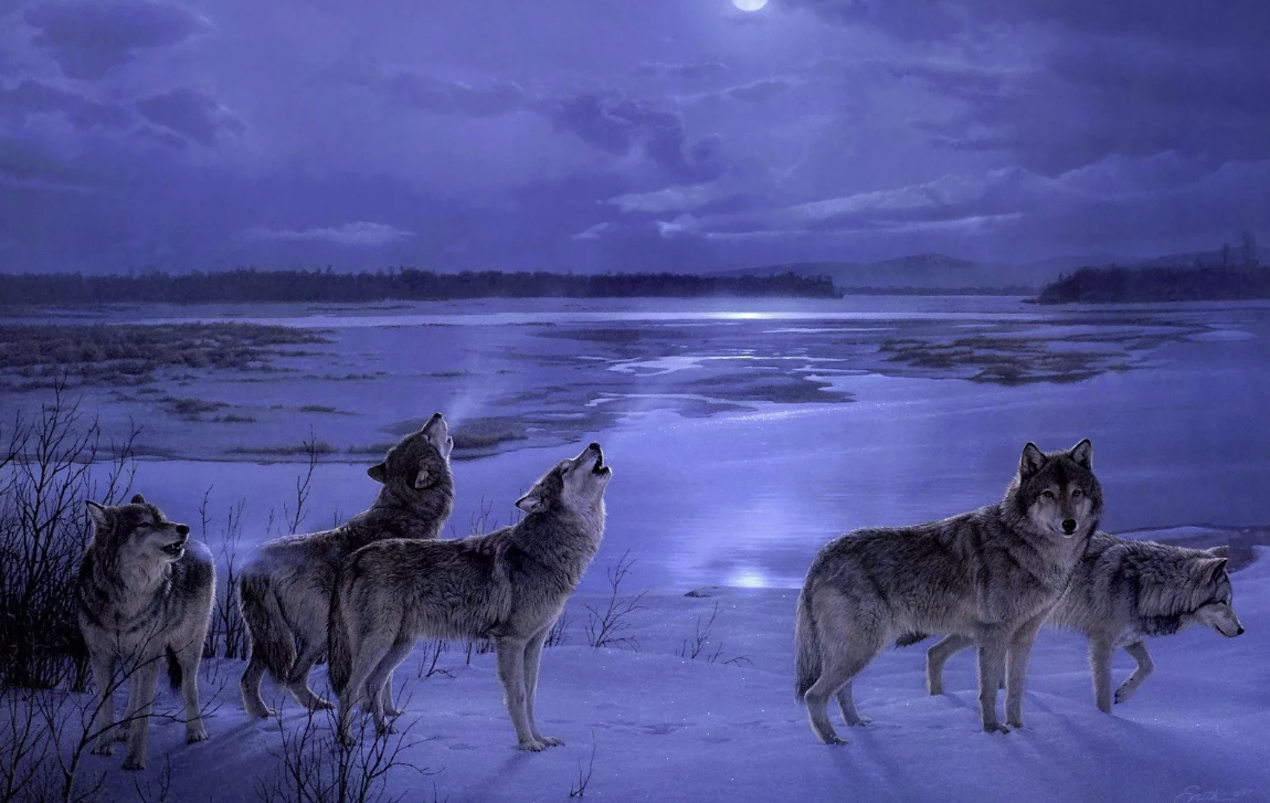 яндекс картинки. 