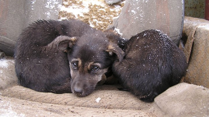 JURI ZOLOTAREV/RUSSIAN LOOK 