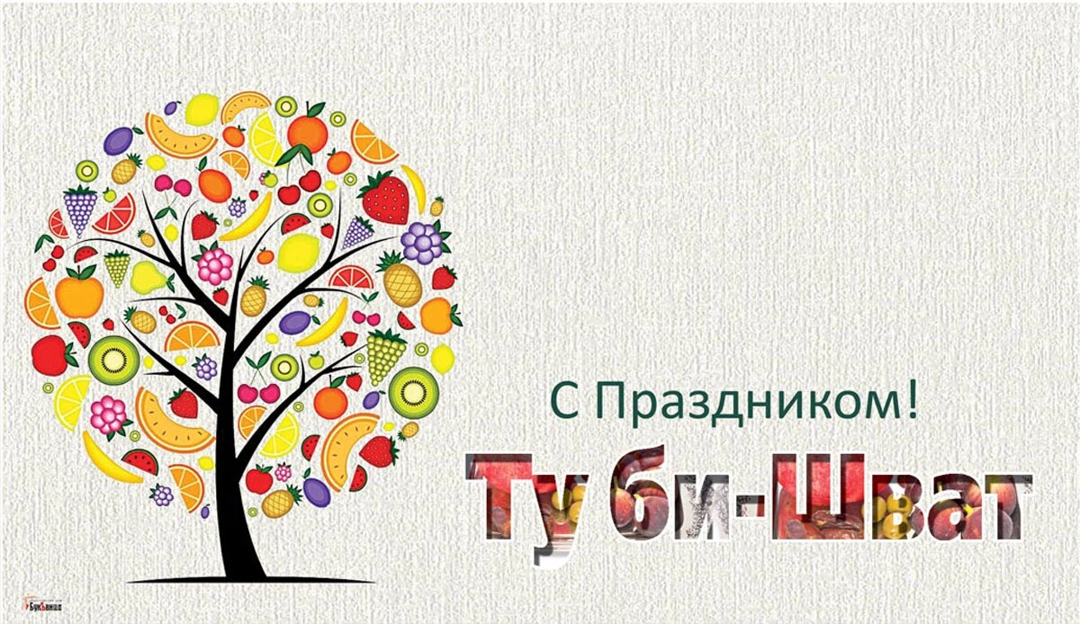 Ту би-Шват. Иллюстрация: «Курьер.Среда»
