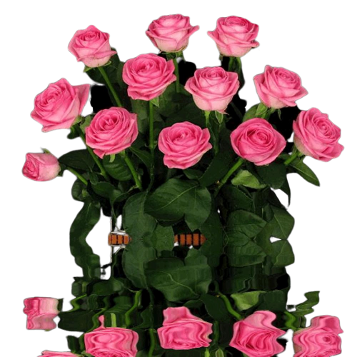 Пусть всегда ваше внутреннее состояние будет таким красивым  и приятным как эти прекрасные розы