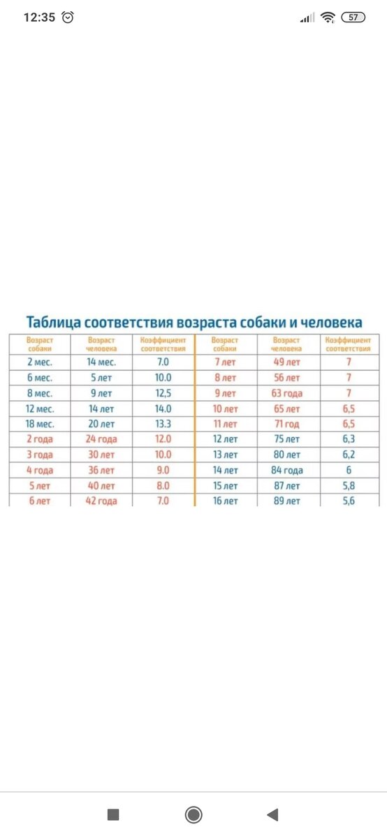 Скриншот из свободных источников