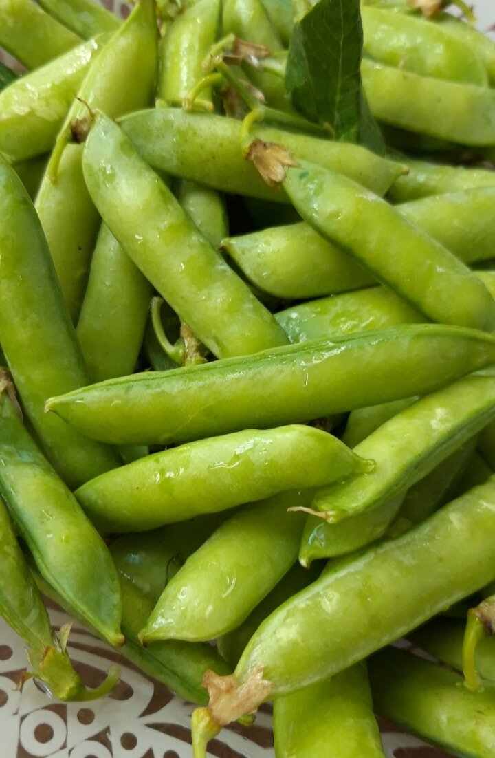 Я люблю летом ходить на рынок за продуктами. Там сейчас такое изобилие, а ароматы просто кружат голову. Травы, ягоды, фрукты, овощи...🙃