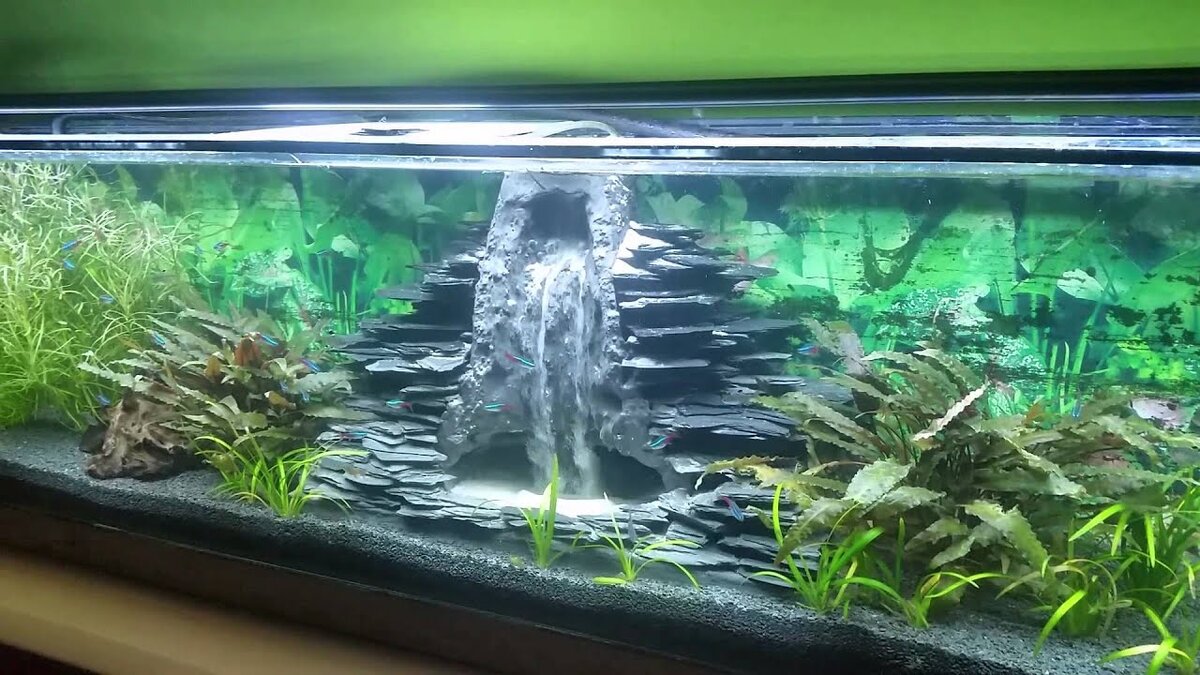 Источник яндекс поиск