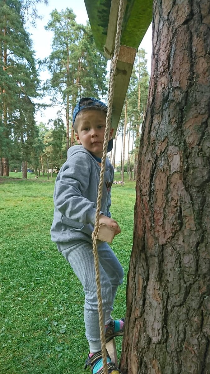 My younger son climbing a tree. 