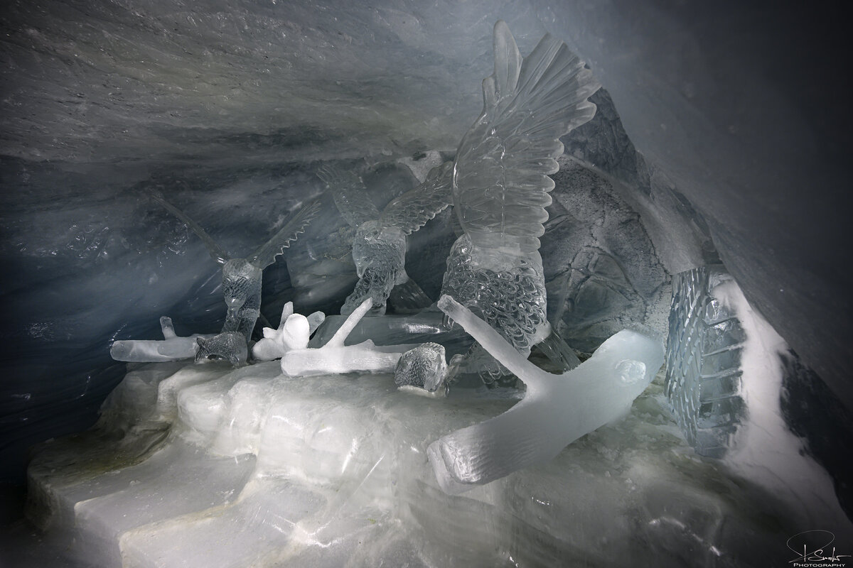 Фото: Robert Smrekar
