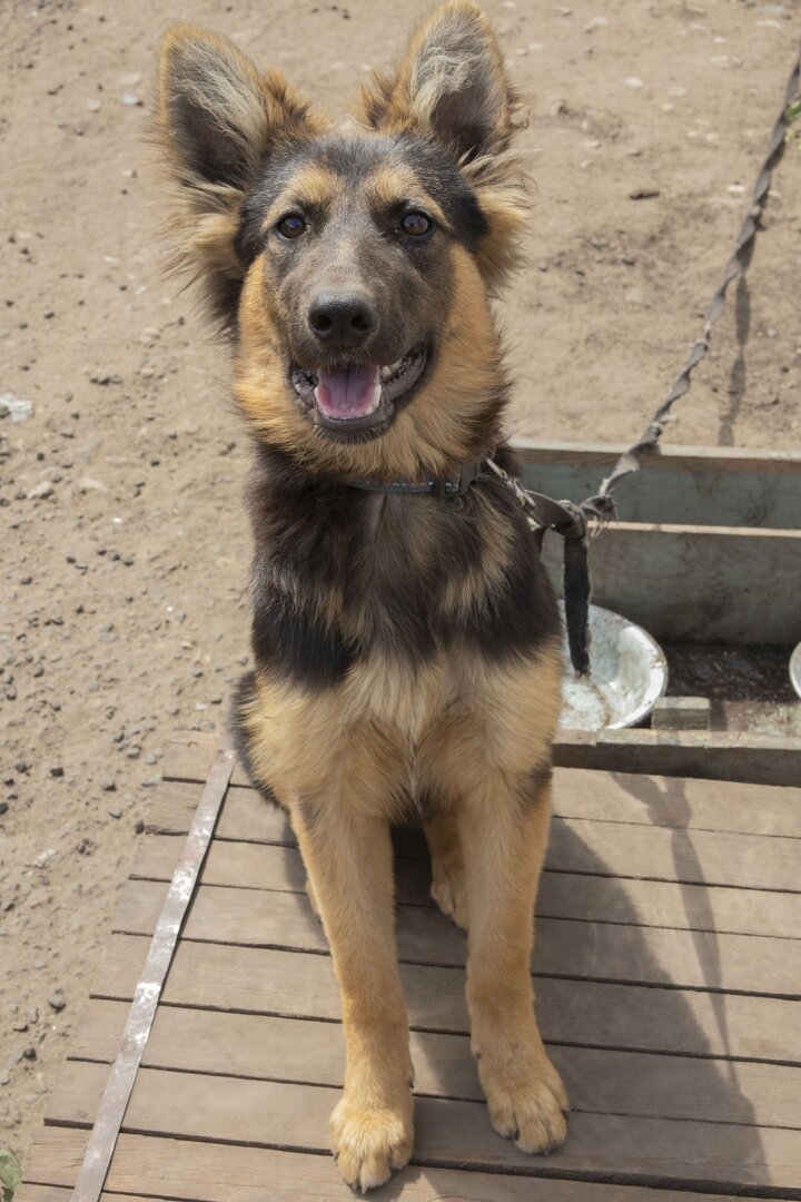 Мультик