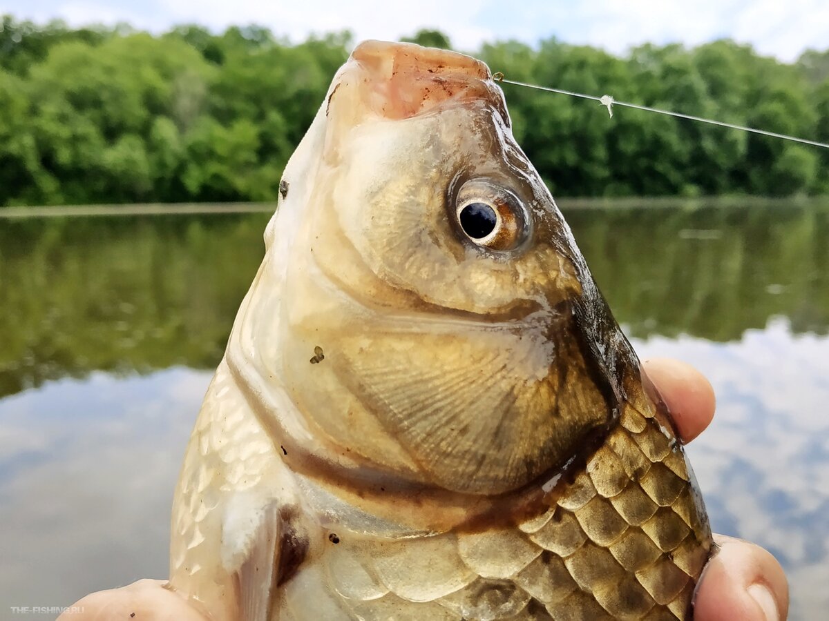 Главное - место