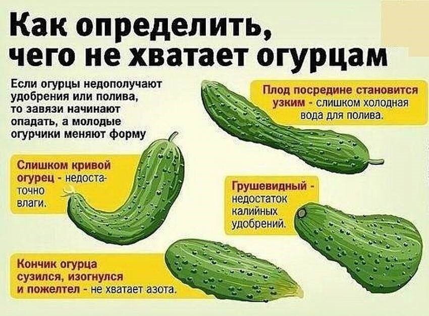 Иллюстрация, и немного комментариев к ней.