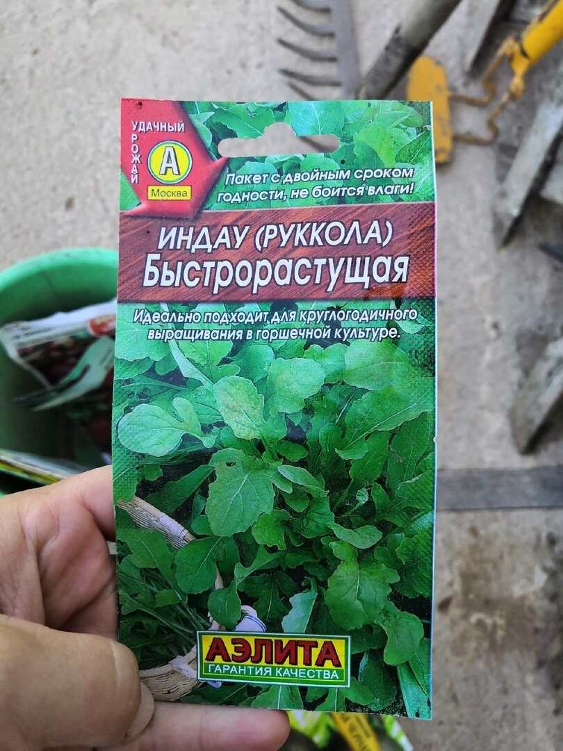 пикантная руккола