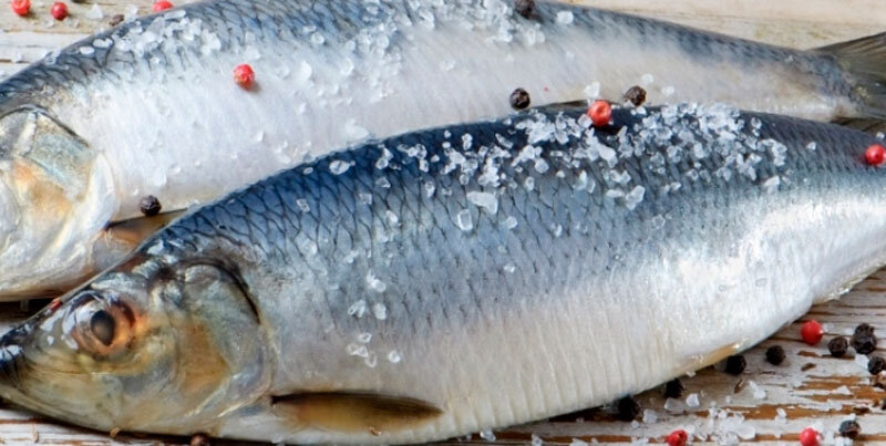 https://fishingday.org/wp-content/uploads/2018/01/3-15.jpg