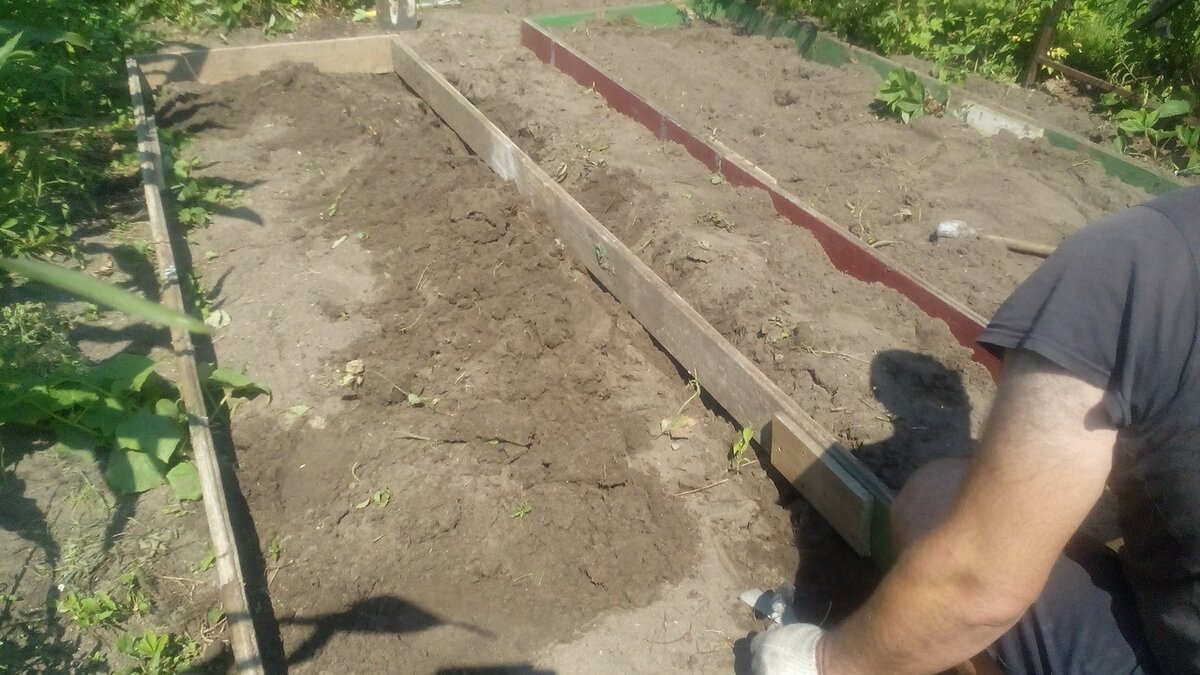 Грядки-короба. Фото автора 