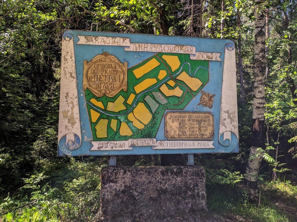 Фото взято из интернета.