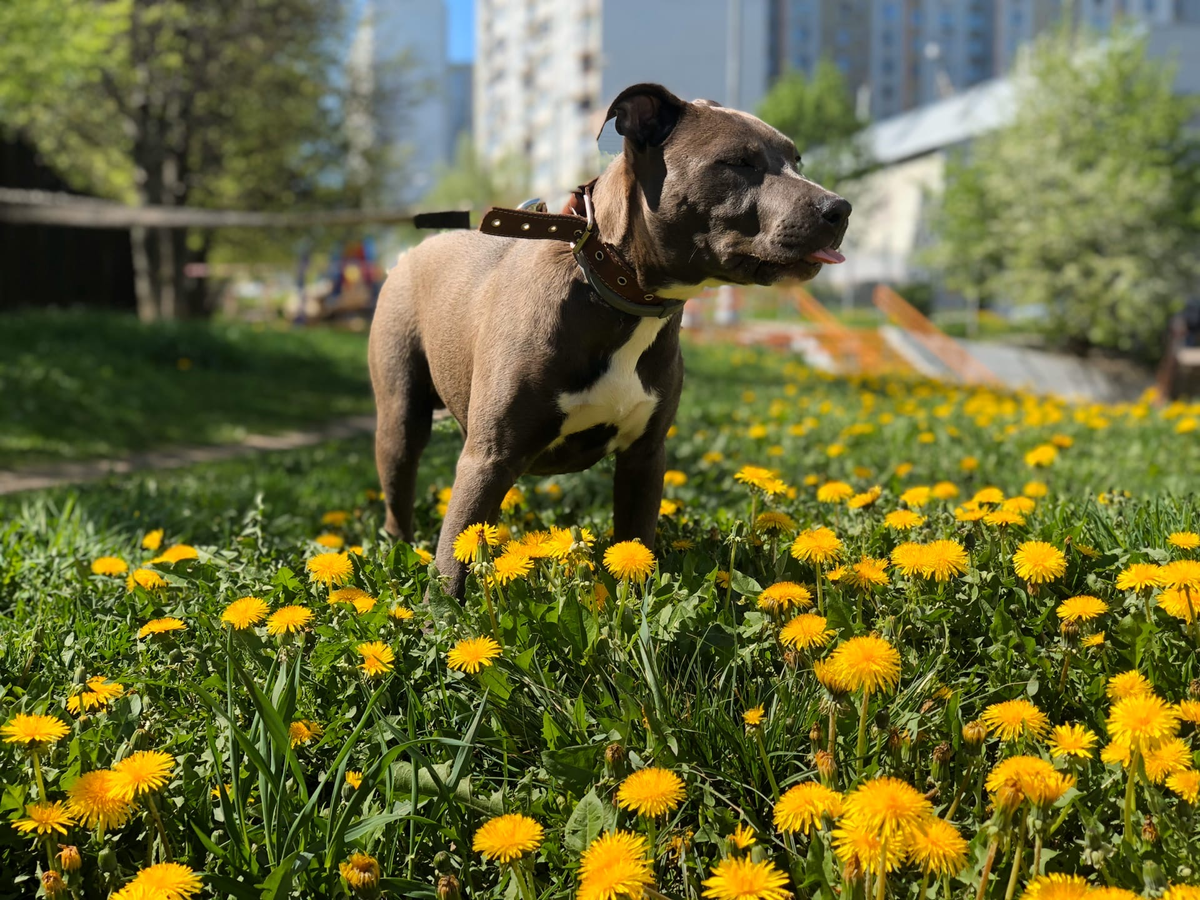 фото из личного архива