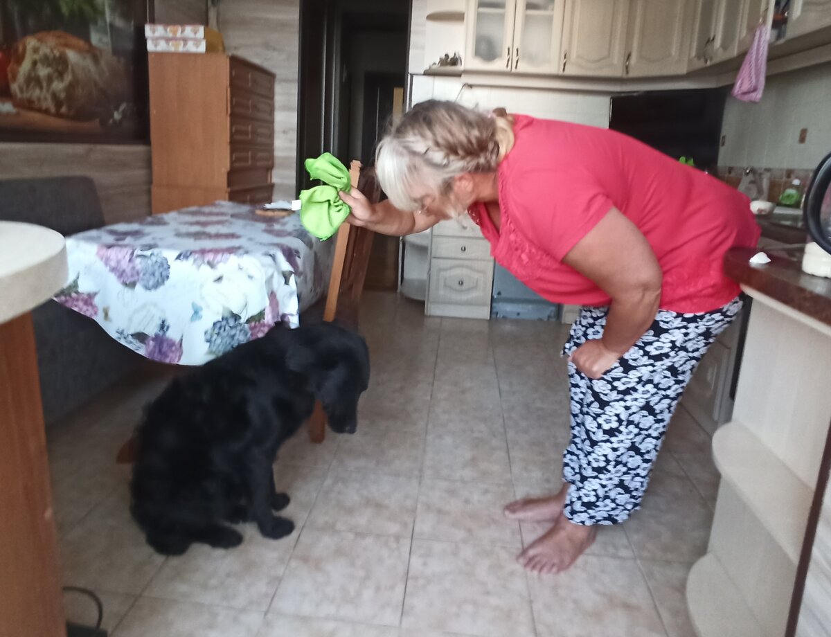 Эльза изображает вину за съеденные 2 (ДВЕ!) отбивные