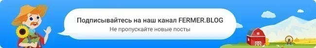 Почему морковь становится горькой при хранении и что делать? | Садоёж