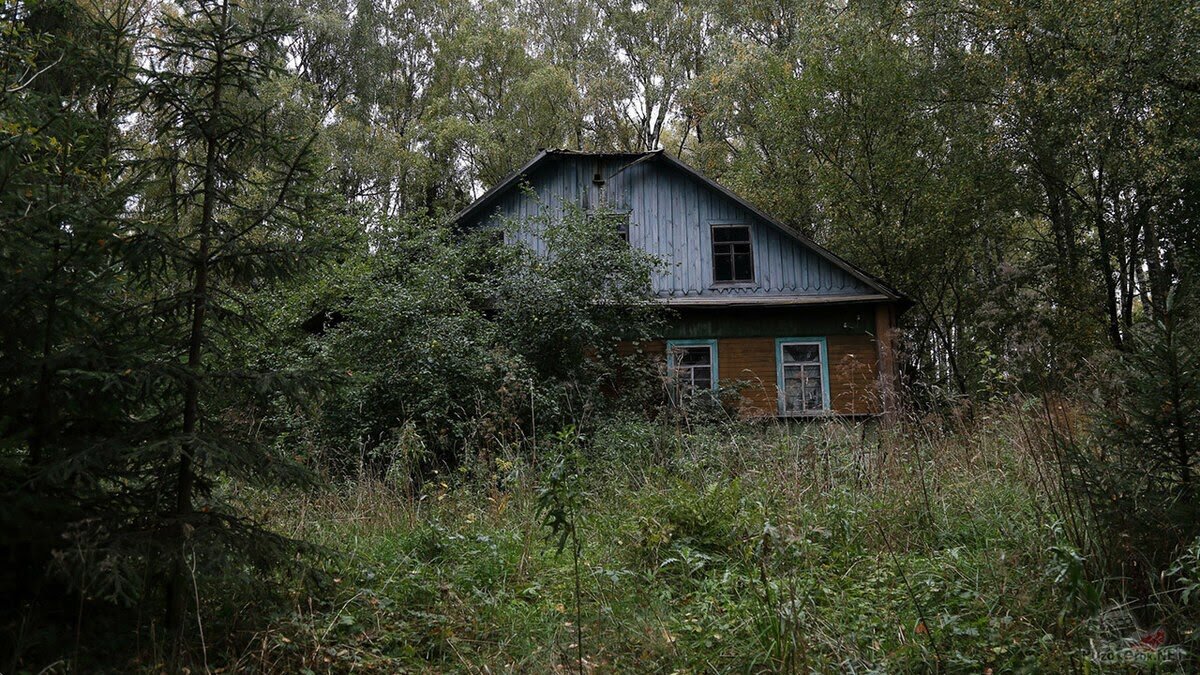 Мистика в огороде. Тайны заброшенных домов Московской области | Яндекс  Путешествия | Дзен