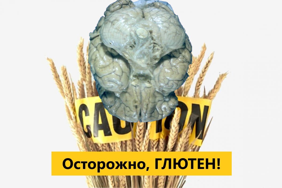 Негативное влияние глютена на мозг доказано в 1996 г. Картинка автора Книжного качка.