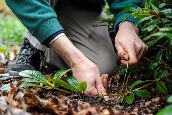 Фото: https://i.pinimg.com