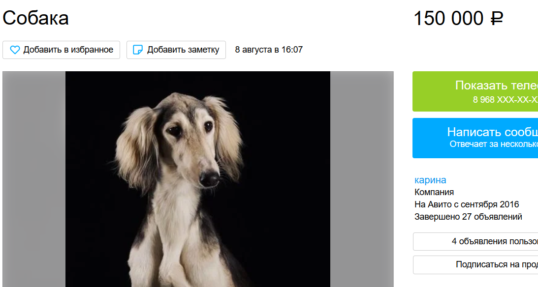 обычная стоимость чистопородной персидской борзой. Салюки также заслуженно входят в ТОП-10 самых дорогих пород собак в мире.