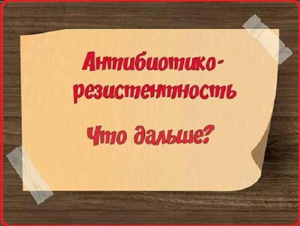 Антибиотикорезистентность  Что дальше?