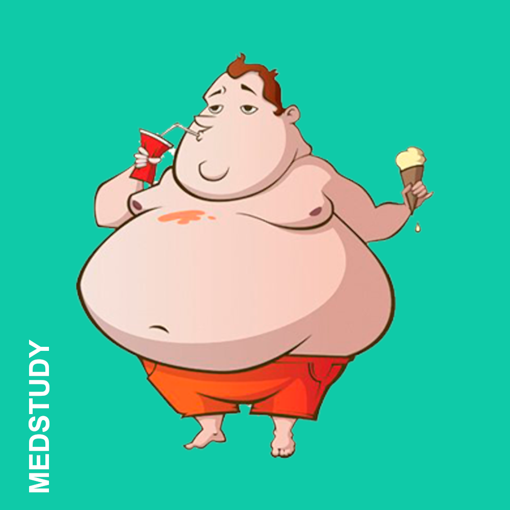 Вот вам и пример, как появляется ожирение