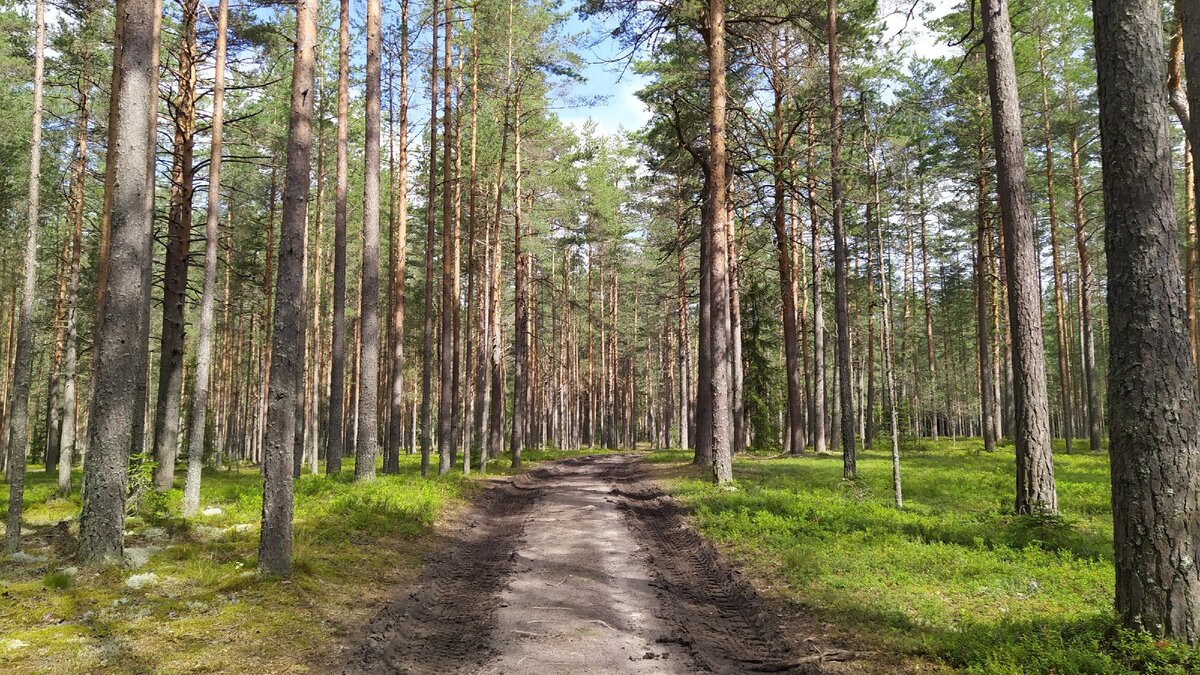 Потом дорога снова хорошая