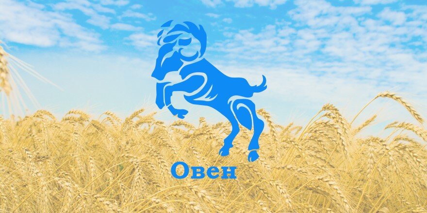 Изображение из открытых источников.