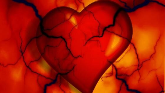 Фото: сеть Интернет