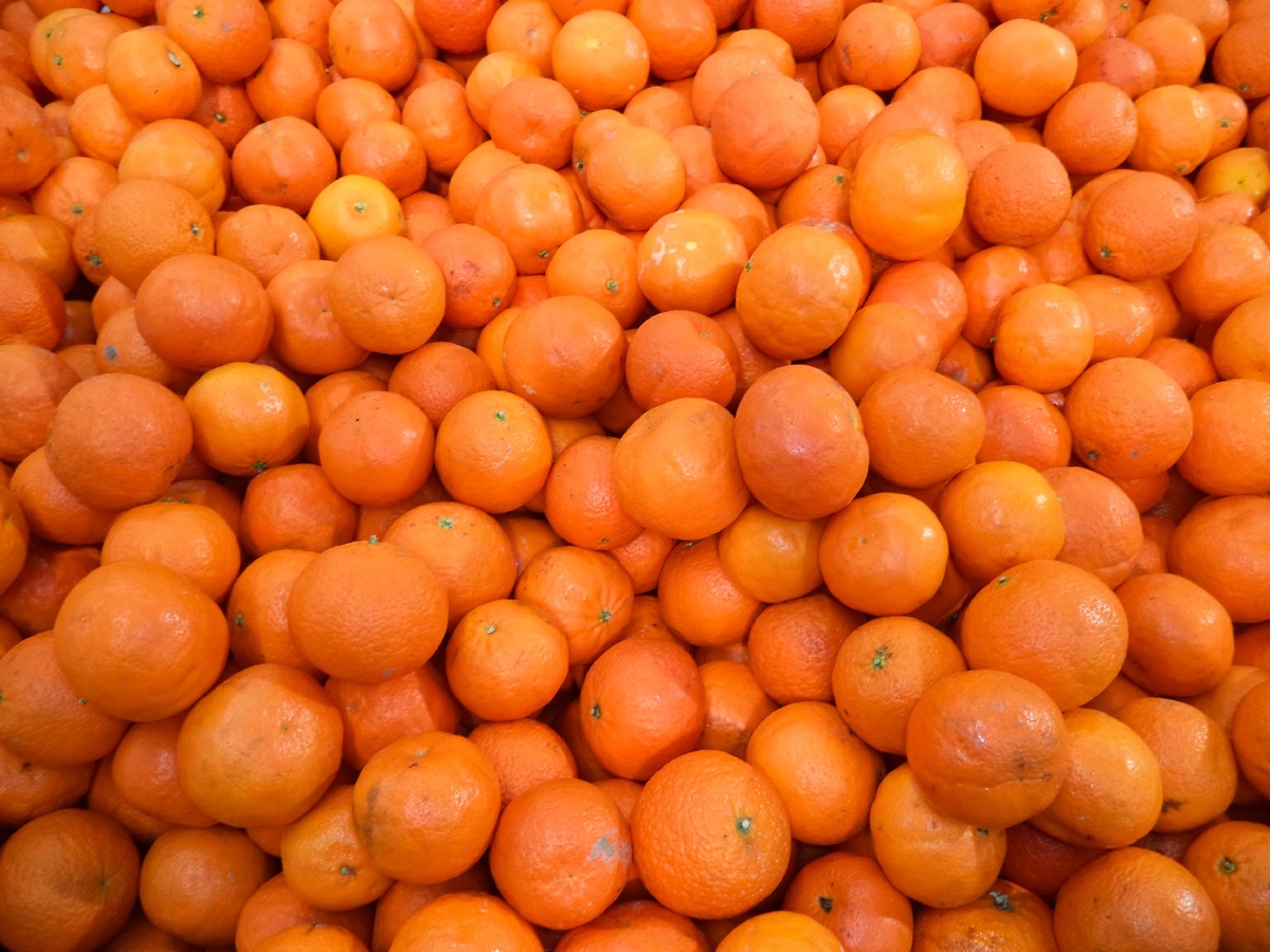 В питании для похудения важны витамины