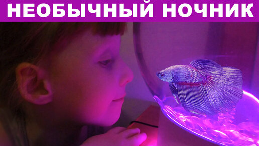 Светодиодное освещение аквариума. Переходить на него или нет?
