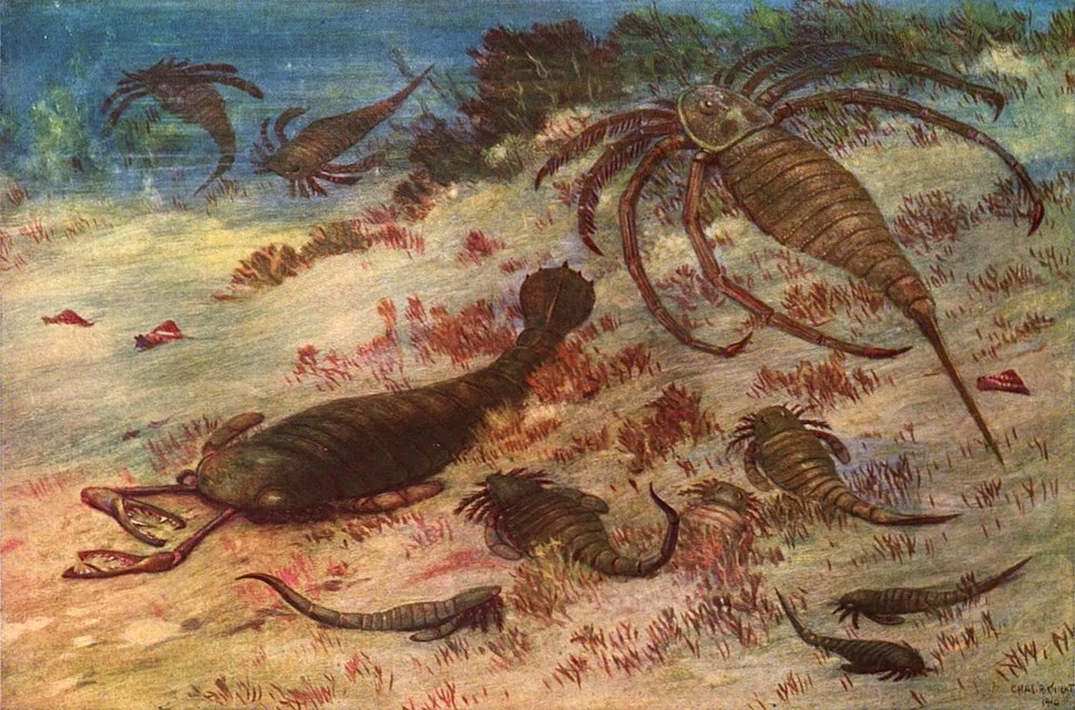 Животный мир палеозойской эры