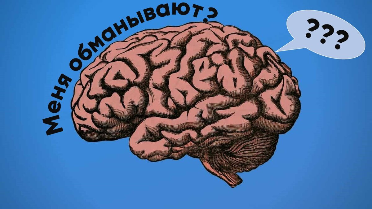 Как отдохнуть за одну субботу, чтобы 6 дней потом хотелось работать?  Собственный способ | imho | Дзен