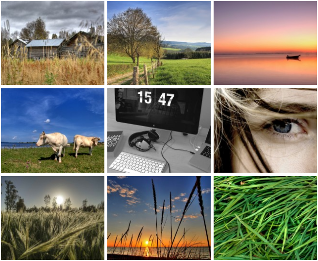 Фотографии с помощью HTML появились на странице.