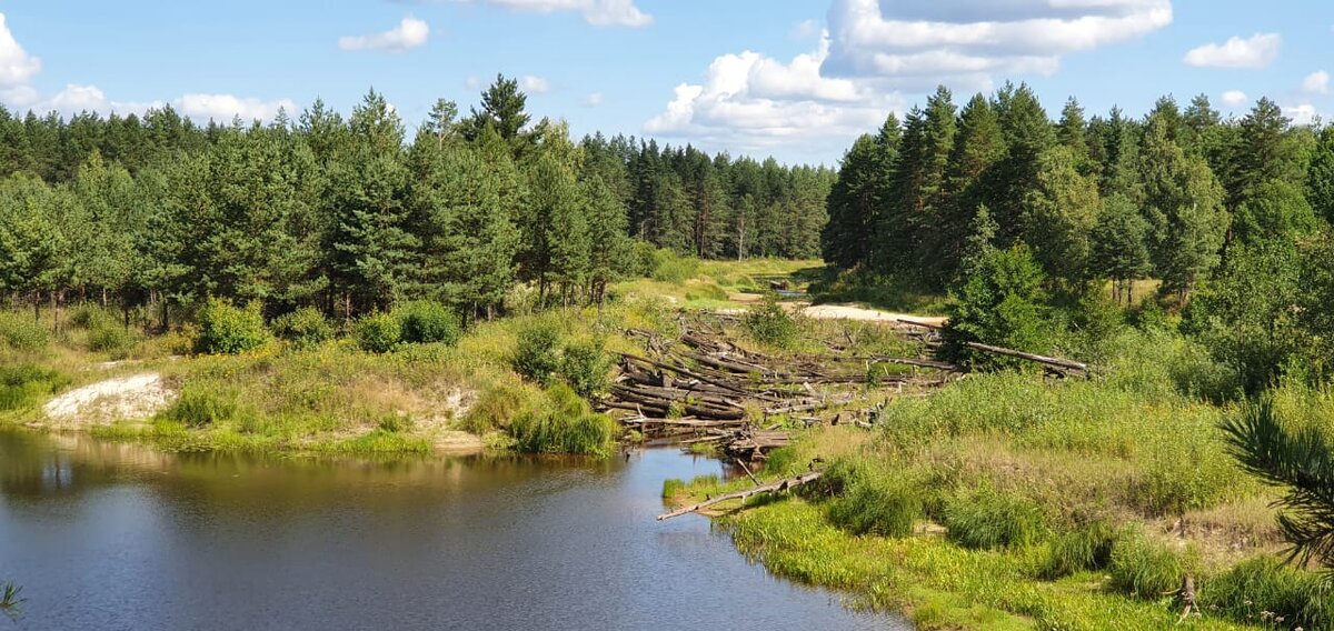 Лух 2020. Фото автора