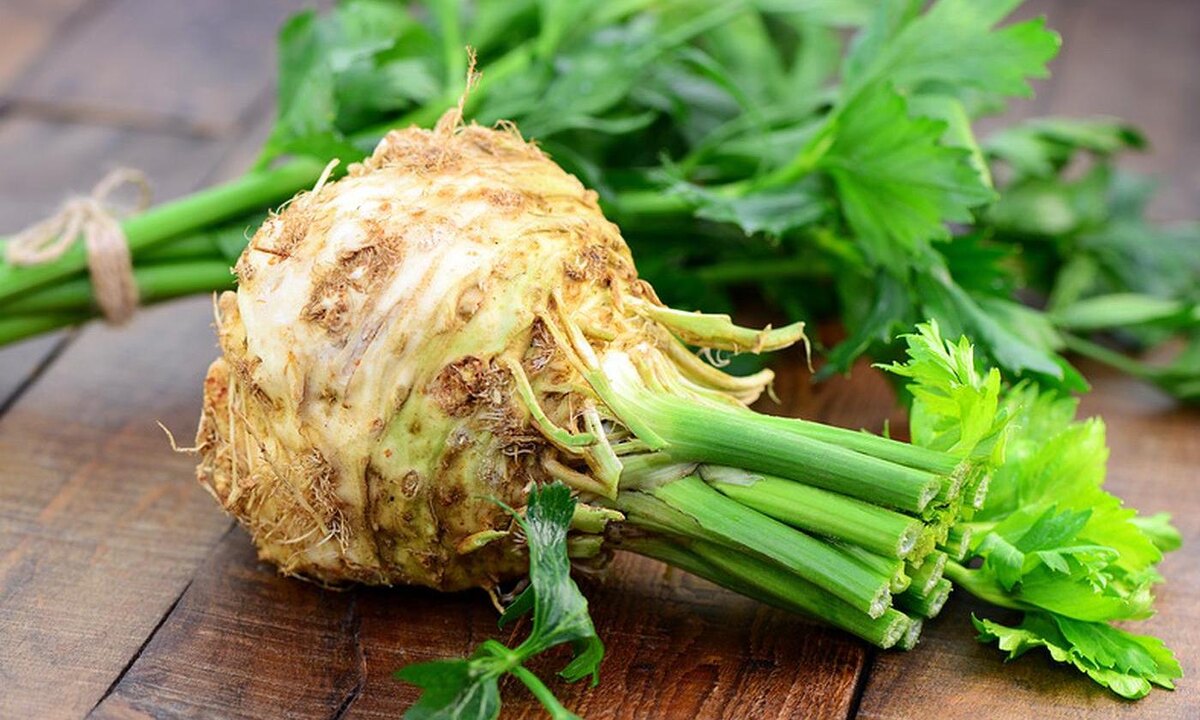 Источник https://www.diet-health.info/images/recipes/1400/knollensellerie-celery-root-by-printemps-fotolia-110064151.jpg