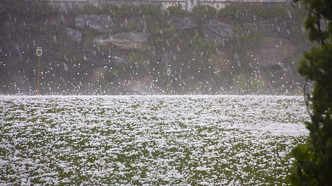 Источник яндекс картинки