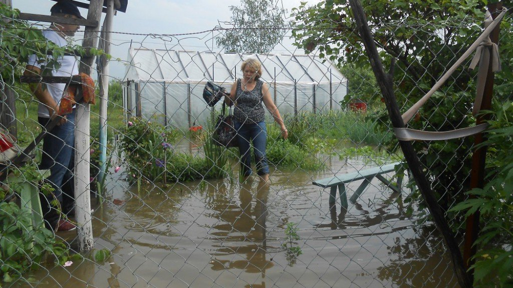 Впору плавать, а не урожай собирать