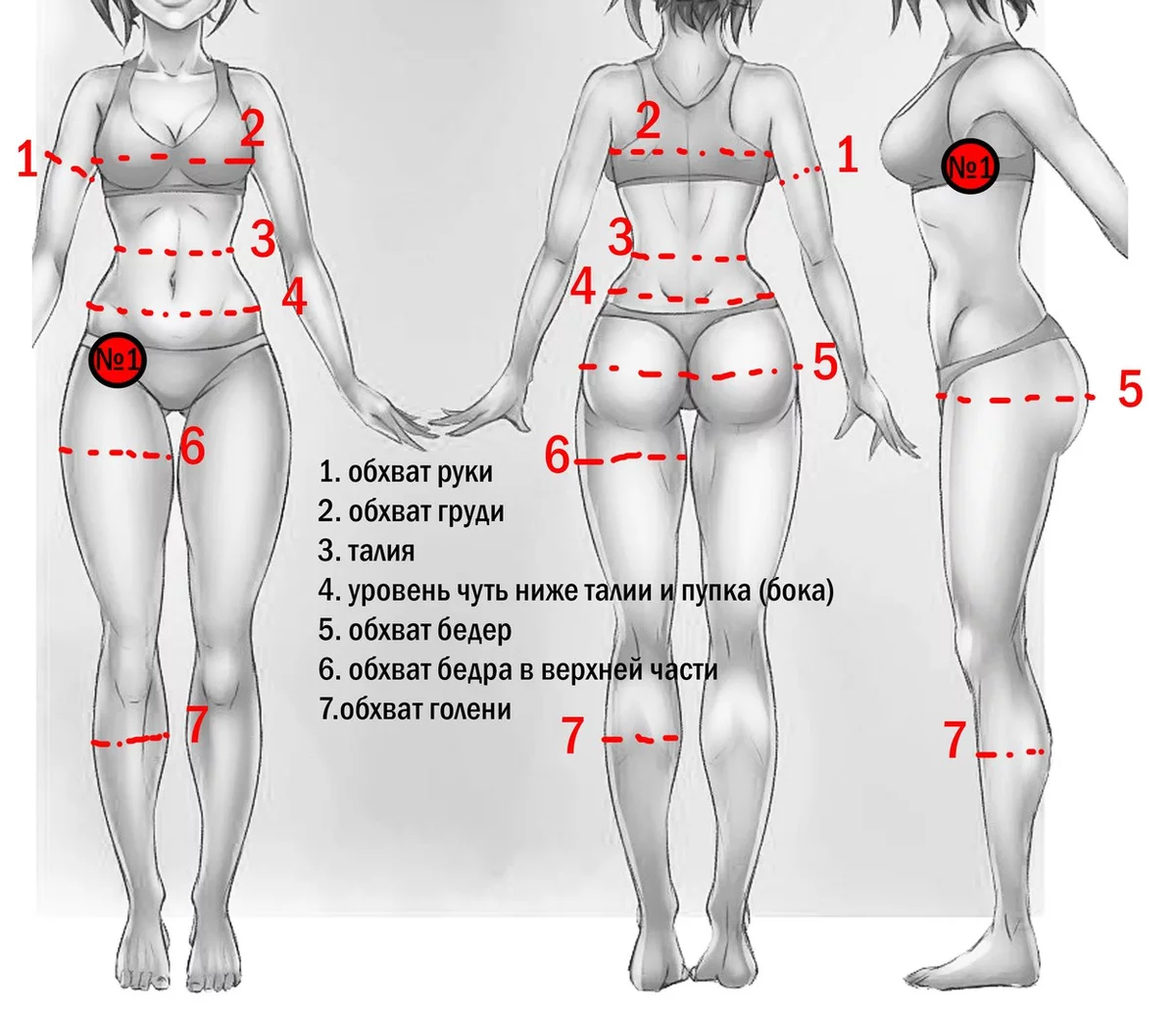 До нижней точки на полу. Как замерить обхват бедер. Обзват белеркак измерить. Как измерить обхват талии и бедер. Как замерить бёдра у женщин.