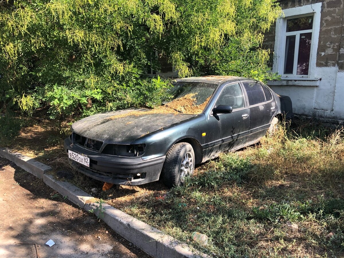 Фото автора. Дзен-канал Автомобильная культура CARakoom