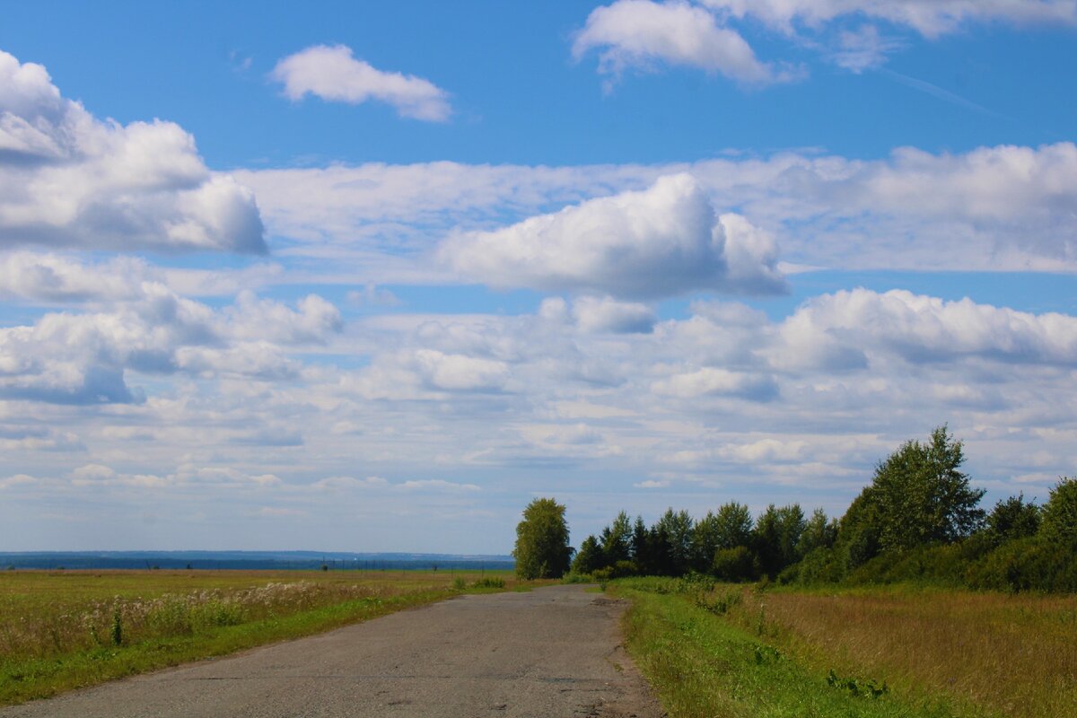 Откройте поле