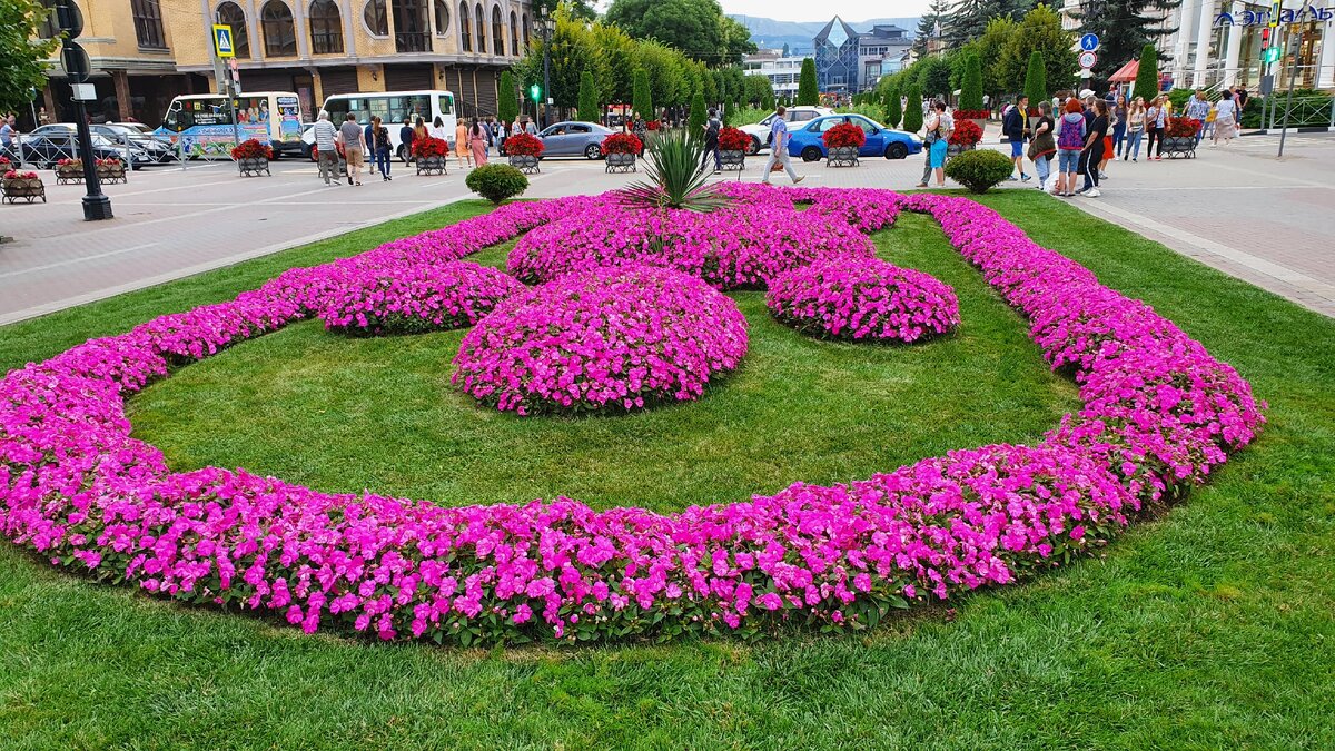Клумба на Курортном бульваре Кисловодска, фото Автора.