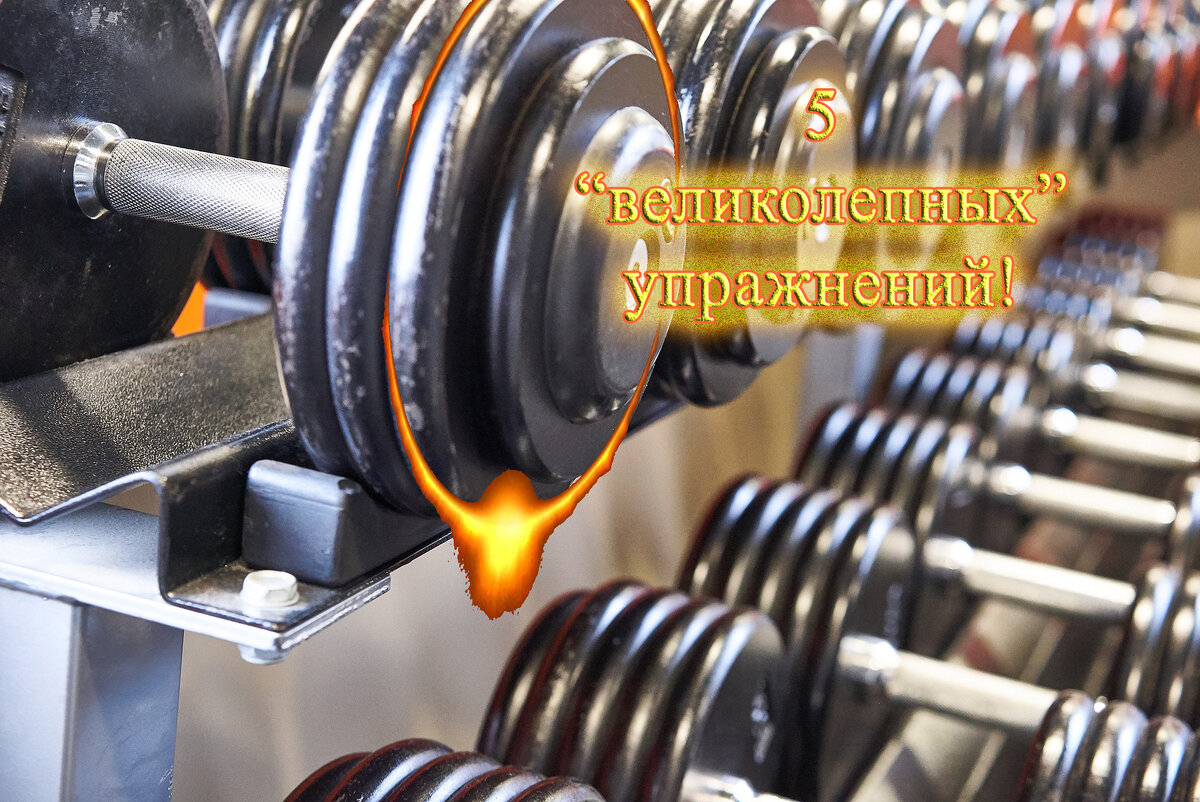 Источник: httpspixabay.com