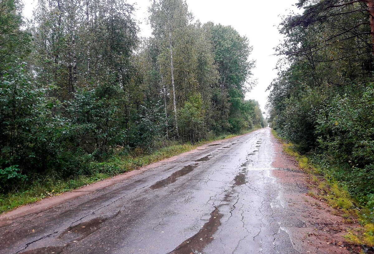 Дорога 27. Дорога 27. Дорога 27. Петухово южно уральская дорога. Дорога 27.
