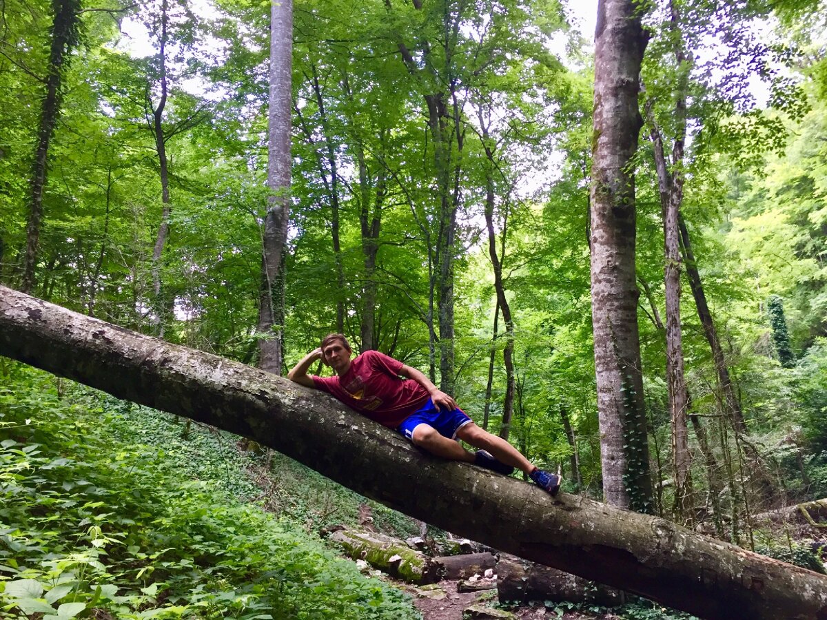 Зеленый Краснодарский край