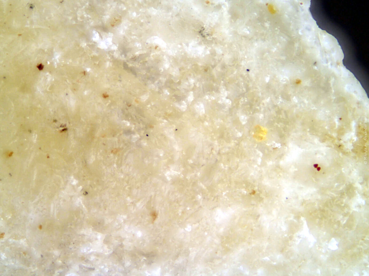 Мед под микроскопом фото реальное фото