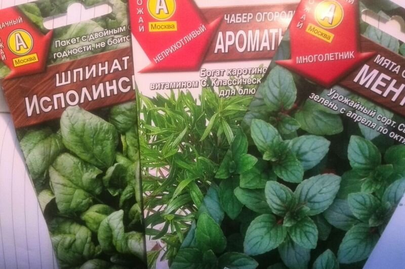 Вот такие пряные травы сеяла в этом году на огороде.