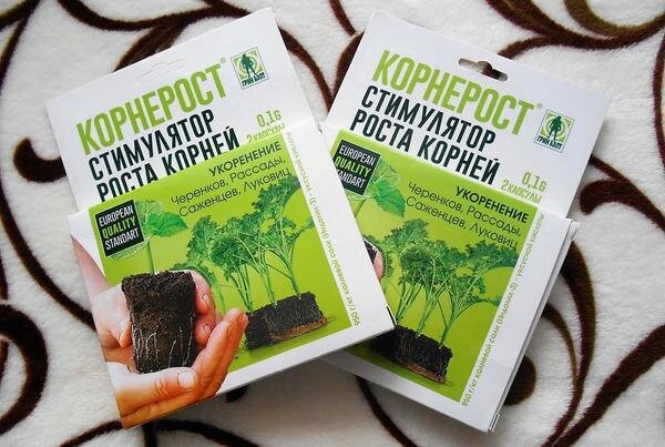 Корнеобразователь (фото из Яндекс.картинки)