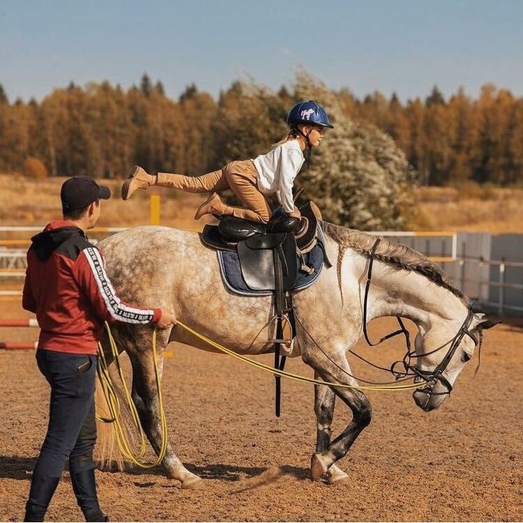 фото с https://www.instagram.com/ksk_komilfo/