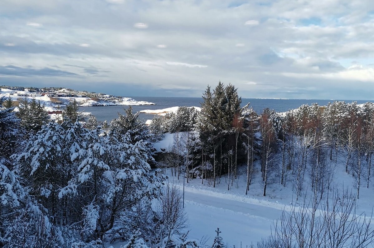 Фото автора. На прогулке в выходной день.